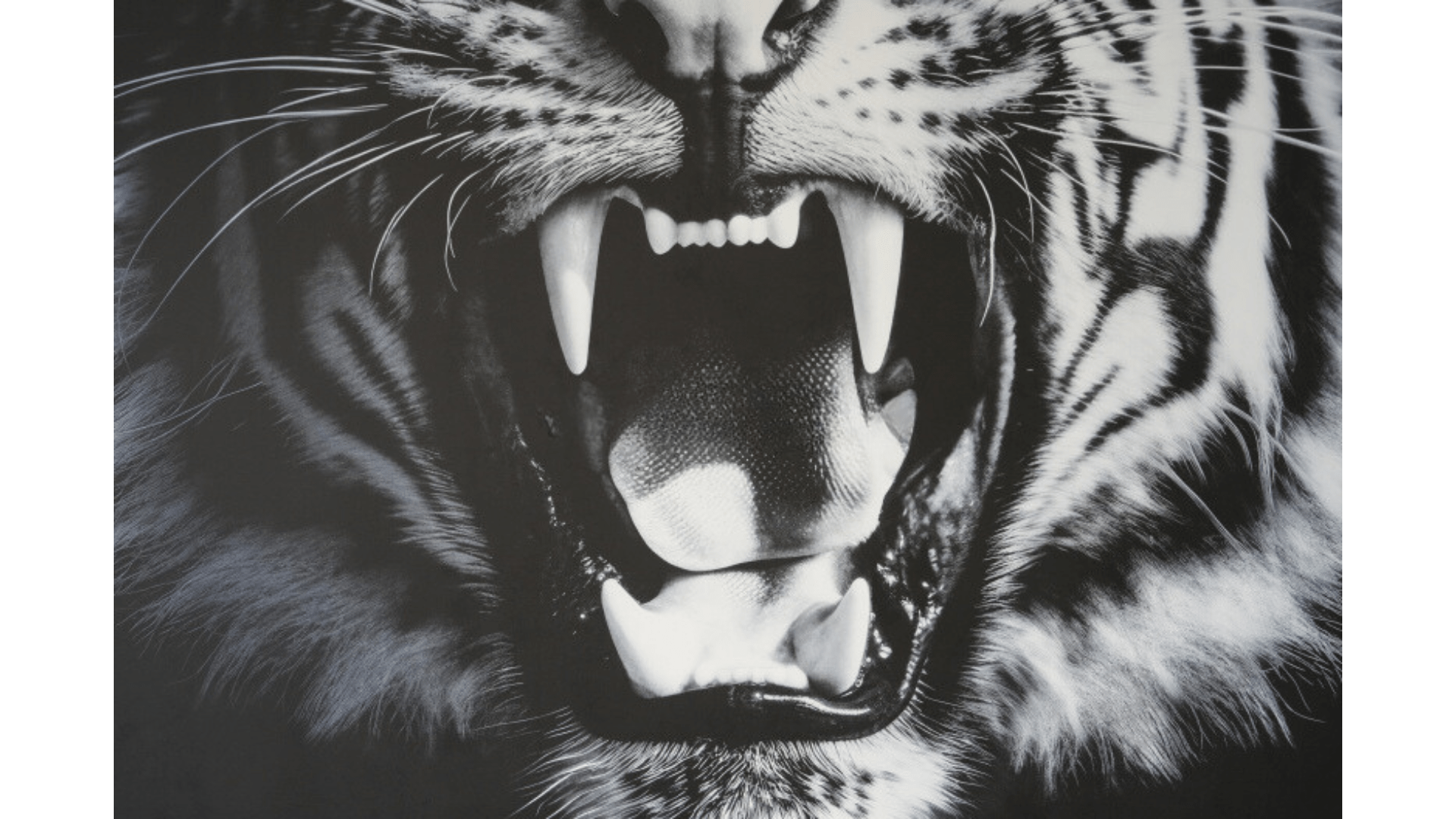 L'impression blanche dans toute sa splendeur